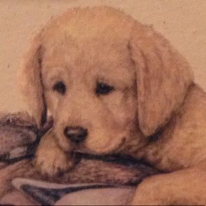 Meet your Posher, Kris